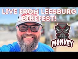 Professional Monkey is live!