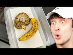 TikToks That Hurt My Brain