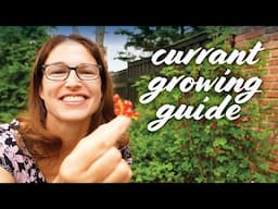 Growing Currants: Planting, Pruning, Harvesting & More!