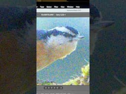Best Noise Removal Ever? Photoshop’s New AI! #Shorts