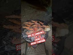#bbq#barbacoa#cena#amigos#familia#familianumerosa#hogar#casa#campo#rural#hermano
