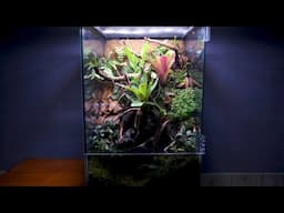 How To Make This Paludarium
