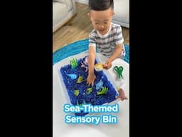Ocean Sensory Bin