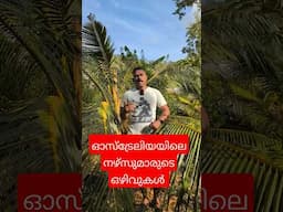 ഓസ്‌ട്രേലിയൻ ജോലി ഒഴിവുകൾ, പെട്ടന്ന് തന്നെ അപ്ലൈ ചെയ്യുക.