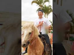 Panza Get’s Arrested On A Horse! #shorts