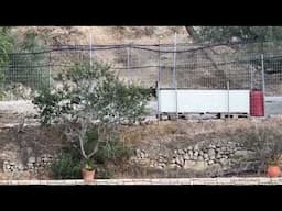 The Puppy Who was Locked in a Balcony Alone is Playing Non Stop in the Shelter - Takis Shelter