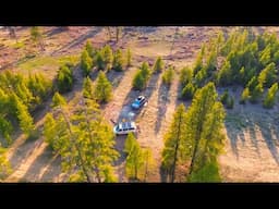 Off the Beaten Path: Colorado Van Life in Leadville