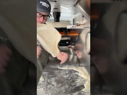 The skills that pay the bills!