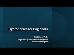 Hydroponics for Beginners