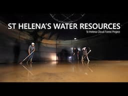 St Helena's Water Resources and the Cloud Forest Project