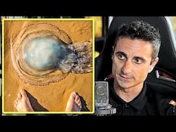 ¿Es cierto que la ORINA te cura la PICADURA DE UNA MEDUSA? - Experto te dice la verdad