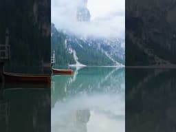 Start Your Day with Calm • Morning Nature & Soft Piano #Shorts