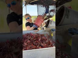 Harvesting FRESH Crawfish for a Boil at Double Bayou Crawfish Farm in Anahuac, TX 🦞🔥