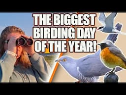 THE BIGGEST BIRDING DAY OF 2025! THE GLOBAL BIRDING BIG DAY!