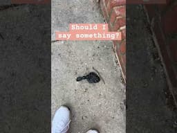 AirBnb guest left dog poop everywhere…and booked again