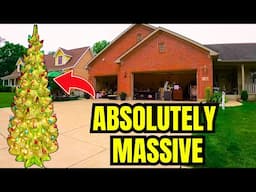 WORLD'S LARGEST CERAMIC CHRISTMAS TREE FOUND AT A YARD SALE