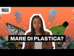 I nostri MARI sono PIENI di PLASTICA?