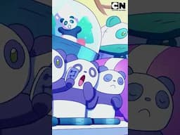 PANDA ACORDA EM UM LUGAR DESCONHECIDO | URSOS SEM CURSO