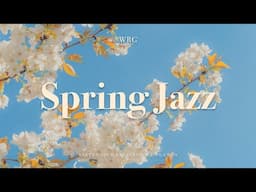 [Playlist] 몽글몽글 봄이 찾아 왔어요 🌸 공부하며 듣는 포근한 봄 플리 | Spring Jazz | Relax Cozy Background Music