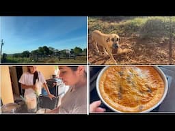VOLTEI pra FAZENDA - COMO ESTÁ A RUBI | NA CASA DA LU + RECEITA - TORTA DE FRANGO