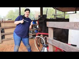 Come Milk With Me!