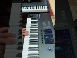 #piano #acordeon