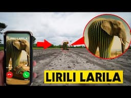 LIRILI LARILA IS CALLING, DO NO ANSWER! (HE TELEPORTED ME INTO THE DESERT) | ITALIAN BRAIN ROT