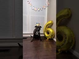 Turning Six Years Old Today! ❤️