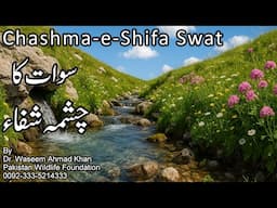 Chashma-e-Shifa Swat | Healing Water Spring of Swat | سوات کا چشمہ شفاء