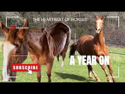 Grace one year on …