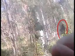 Kilcoy Yowie Footage near Smashed, Abandoned Tent