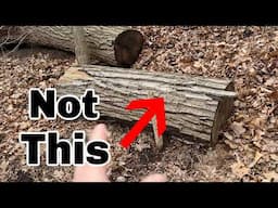 How To Find "READY TO BURN" Wood In The Forest