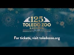 Toledo Zoo | This Summer, Celebrations Will Be Epic!