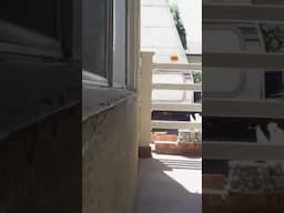 Removing Old #Window Before #Installation of #Retrofit Window #diy #windows #remodeling