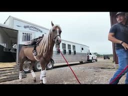 Blue, Titos, Bud & Bullet 🐴 | Getting Ready for the Derby & The Run For A Million at IXTUL QH 〽️😎