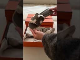 Hermès unboxing 🤍 #hermesunboxing #hermessandals #hermes #unboxing