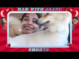 இது என்ன உருச்சி வெச்ச கோழி மாரி இருக்கு | Fun pet vlog #ramwithjaanu