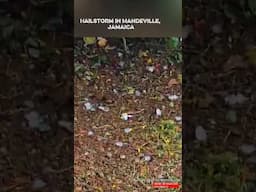 HAILSTORM in Mandeville, Jamaica Today! Wild Weather Hits Manchester!