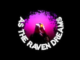 As The Raven Dreams - Playing Powerwash sim With My Lovely Other Half