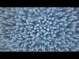 DJI Air 3s - Flying in the HEAVY SNOW (cinematic video)