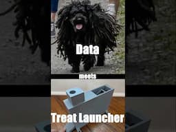 DIY Dog Treat Launcher Toy