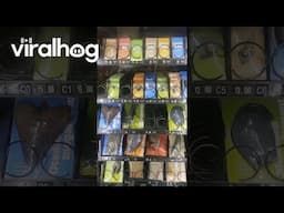 Fossil Vending Machine || ViralHog