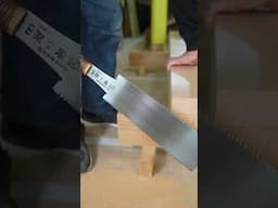 Carpenter Just Sawing the Wood