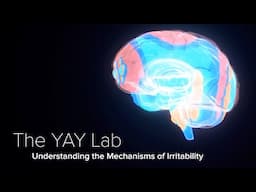 fMRI, Neural Patterns & the Etiology of Irritability - the YAY Lab at Yale School Of Medicine