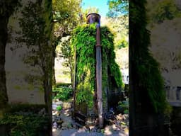 【世界文化遺産】桜島を望む鹿児島の人気観光スポットを体験｜仙巌園　#pr