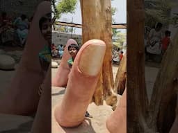 Trichy Birds Park #shorts #shortsfeed #trending