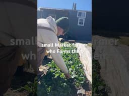 Farming our Backyard #marketgarden #backyardfarming #shorts