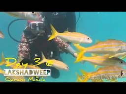 സ്കൂബഡൈവിങ്ങും ഗ്ലാസ്ബോട്ട് റൈഡുംDay3 @Lakshadweep ScubaDiving,GlassBoat Ride& Kalpatti Island Visit