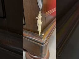 Dog chewed up your furniture! ￼#Furniture #Repair #DIY #HowTo #Fix ￼#FixAndFlip #skills