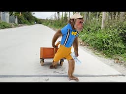 Cutis Recklessly Secretly Hide Mom To Harvest ! Best Videos 2025